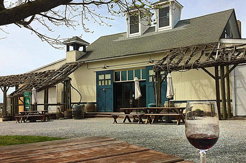 Das Lenz Winery ist berühmt für Ihre herausragenden Merlot Old Vines, der immer wieder für Spitzenbewertungen sorgt.