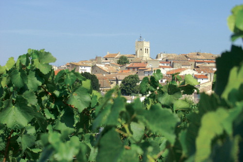 Côtes de Thongue 
