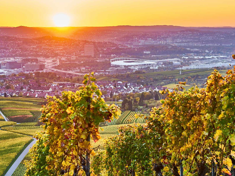 Blick aus dem Stadtteil Untertürkheim hinein in den Stuttgarter Kessel: Reben vor Industrie und Fußballstadion.