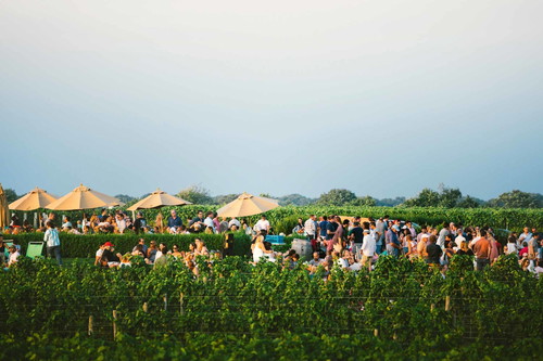 Wölffer Estate in Sagaponack ist heute das bekannteste Qualitätsweingut auf Long Island. Der Spitzen-Merlot »Christian's Cuvée« ist eine Hommage an den 2009 verunglückten Gründer.