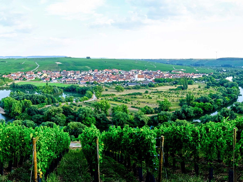 Weinberge fügen sich in die liebliche Landschaft.