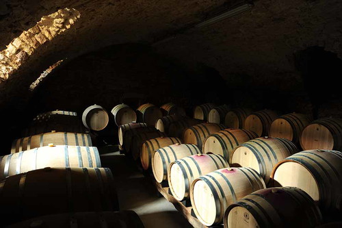 Der Weinkeller des Weingut Reichsrat von Buhl.