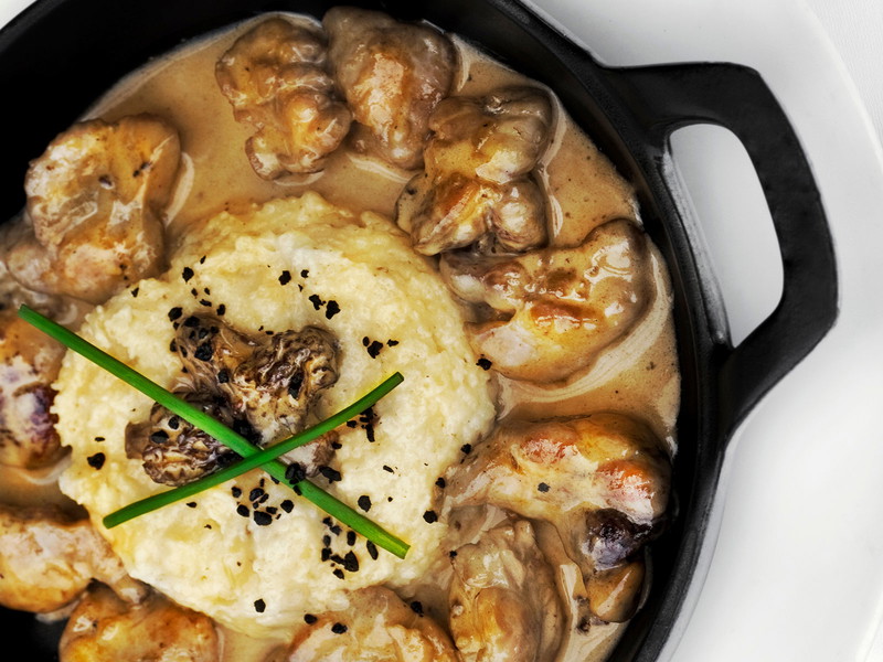 Kalbsbries in Rahmsause mit Morcheln 