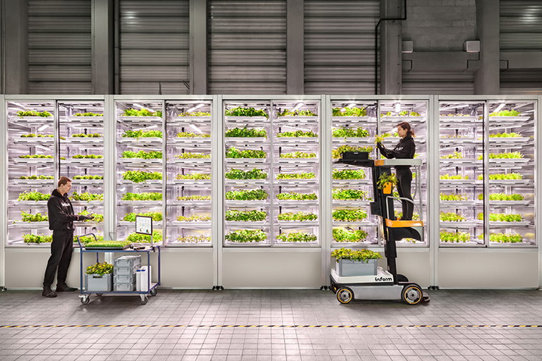 Restaurants mit eigener Indoor-Farm gelten als Zukunftsweisend.