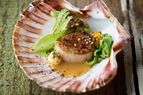 Andreas Döllerers Signature-Dish: die Alpine Jakobs­muschel.