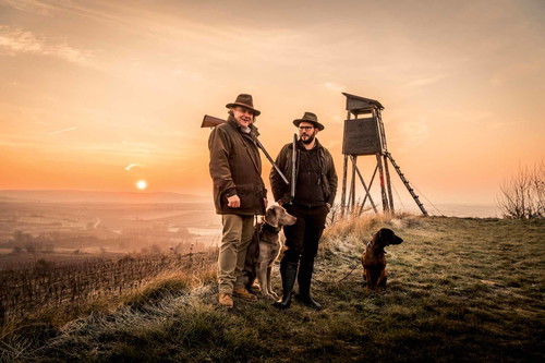 Jäger und Heger. Winzer Hans Topf und Hans Junior begleitet von Weimaraner Chris und von Gustl in den Strasser Weinbergen.