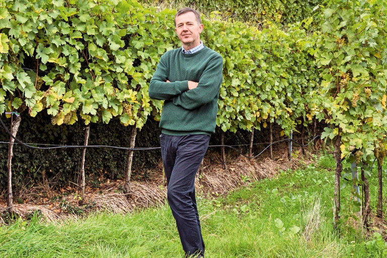 »Wir hatten etwas mehr Regen als 2017, daher haben die Weine auch etwas mehr Frucht und Dichte.« Martin Nigl – Weingut Nigl, Senftenberg