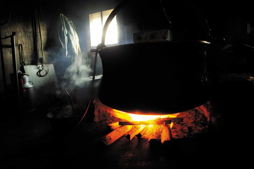 Der Gruyère d’Alpage AOP wird ausschließlich im Sommer in der Region Gruyère hergestellt. Die Kühe werden auf die Almen getrieben und ernähren sich vom üppigen Weidegras. In dieser Zeit geben sie besonders aromatische Milch, was zu erstklassigem Käse führt. 