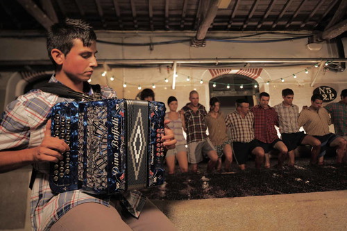 Das Treten der Trauben mit den blanken Füßen ist für Top-Qualität Tradition, auch bei Quinta do Noval.