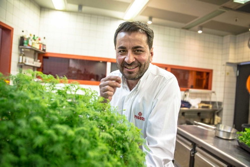Ali Güngörmüs