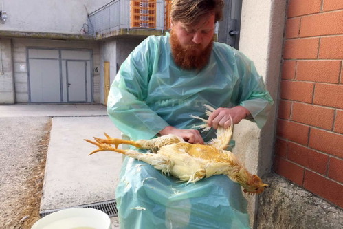 ... unter anderem nach Italien, wo Mraz offenbar ein Hühnchen zu rupfen hat. 