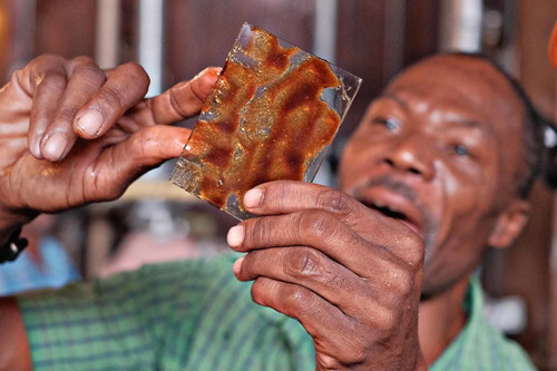 Arbeiter auf einer Zuckerrohrplan­tage der West Indies Rum Distillery.