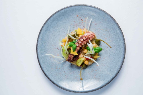 »Ômer«: Oktopus Salat mit Kichererbsen und Fenchel»
