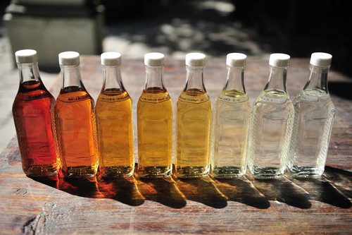 Tequila kann in fünf verschiedene Reifegrade unterschieden werden: »Blanco« oder »Plato«, »Joven« oder »Oro«, »Reposado«, »Añejo« und »Viejo« oder »Extra Añejo«. Viele Familien besitzen auch einen eigenen Haus-Tequila, der oft noch länger gelagert wird.