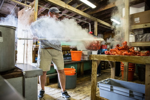 Maine gehört zu den Regionen, die weltweit am meisten Lobster produzieren. Jedes Jahr werden mehr als 50'000 Tonnen Hummer gefangen. 