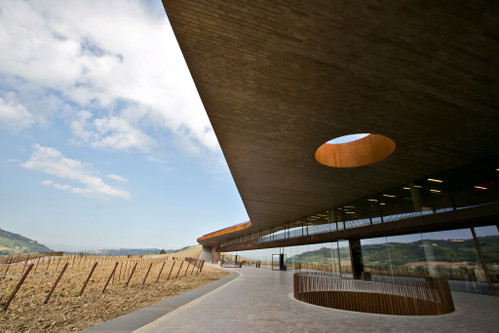 Das italienische Weinguts Antinori