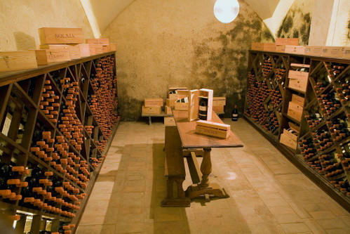 Das italienische Weinguts Antinori