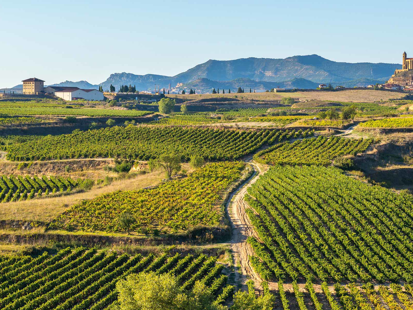 Die Rioja umfasst drei Untergebiete: Rioja Alta, Rioja Baja und Rioja Alavesa.
