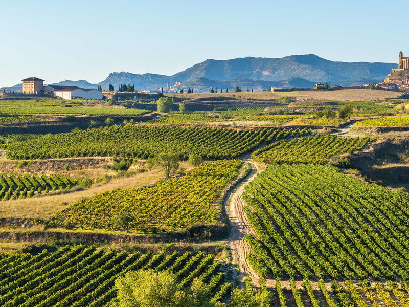 Die Rioja umfasst drei Untergebiete: Rioja Alta, Rioja Baja und Rioja Alavesa.