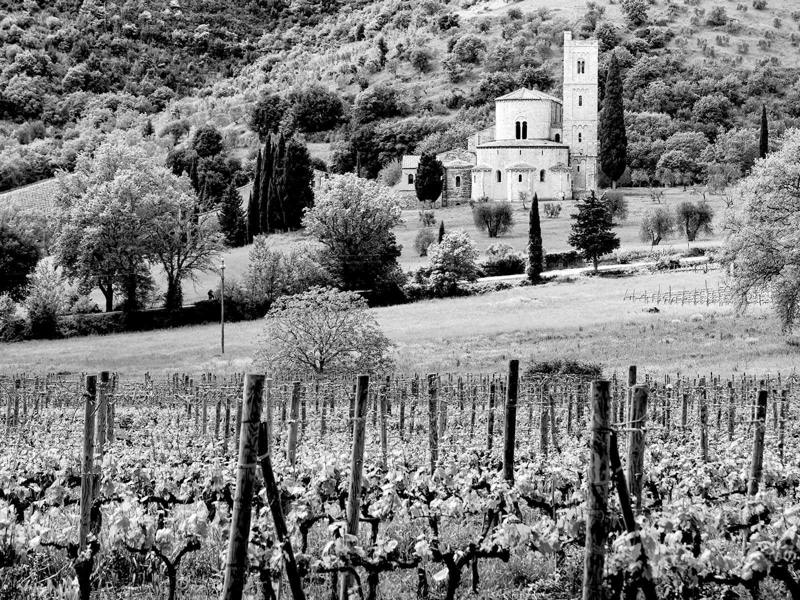 Symbolfoto Montalcino