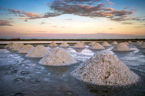 Fleur de Sel: In Frankreich hat Fleur de Sel eine lange Tradition. Die besten Qualitäten stammen aus der Bretagne (Guérande), den Pays de la Loire (Île de Noirmoutier), dem Département Charente-Maritime (Île de Ré) und der Camargue.
