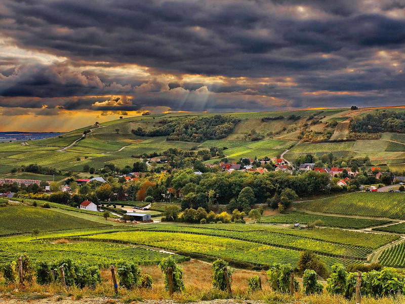 Sancerre in der Region Centre Loire ist für unverwechselbare Weißweine aus Sauvignon Blanc zu Recht legendär.