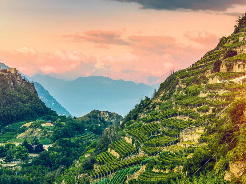 Das Terroir des Wallis ist einzigartig und prägt nicht nur den Rebbau, sondern auch die typischen Speisen des Kantons.