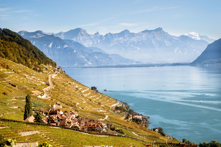 Im Lavaux wird nicht nur Weißwein erzeugt. 