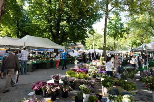 Am Ende der Bahnhofstrasse findet man unter Kastanienbäumen den Wochenmarkt am Zürcher Bürkliplatz mit einem vielseitigen kulinarischem Angebot. 