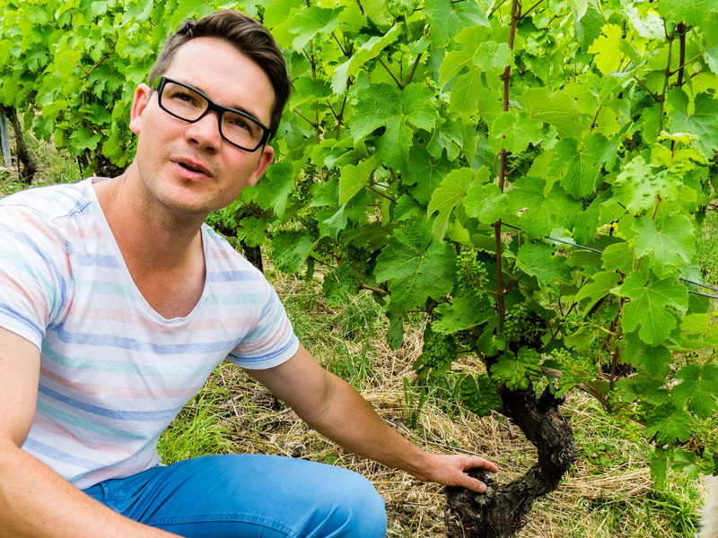 Matthias Hey im Weingarten.
