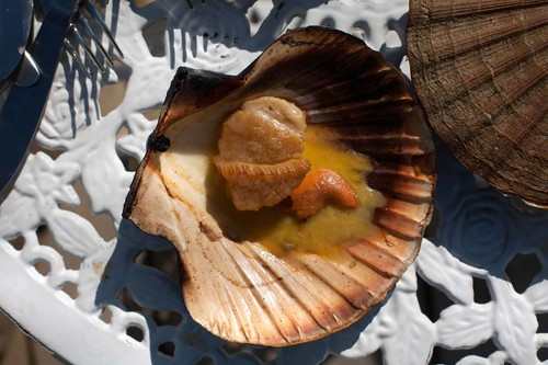 Roddie Sloans gegrillte Jakobsmuscheln.
