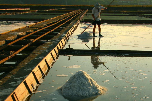 Piranske Soline: In den Salinen von Sečovlje in Slowenien wird eines der besten Fleurs de Sel hergestellt. Wichtig dabei ist die dünne Petola-Schicht, ein aus Mineralien und Mikroorganismen bestehender Biosediment-Boden.