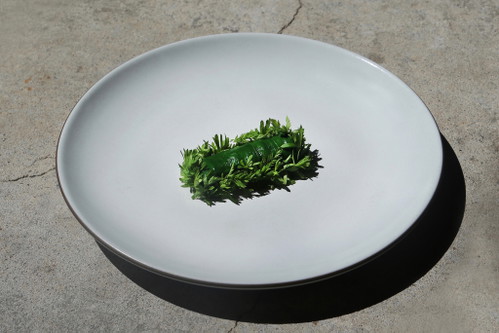 Ramp Tamal