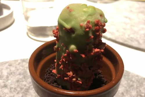 Nachschlag: Kaktus-Eis