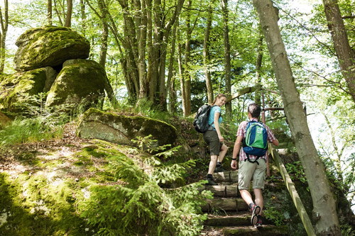 23 wunderbare Etappen entlang des 450 Kilometer langen Donausteigs laden zum Genusswandern ein.