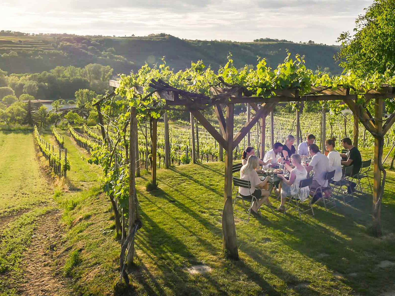 Heurigen-Idylle Baumbart: typisch für das Kamptal.