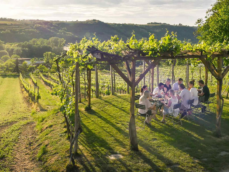Heurigen-Idylle Baumbart: typisch für das Kamptal.