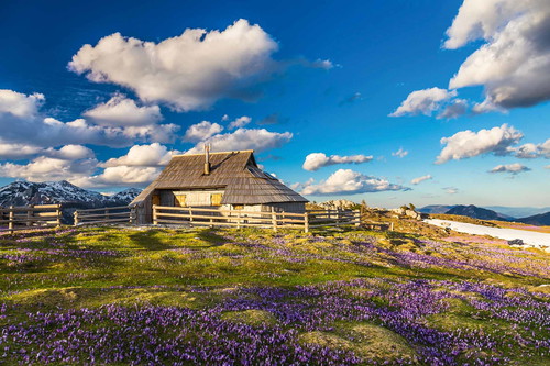 Eine der letzten hochalpinen Hirtensiedlungen befindet sich auf der Hochalm Velika planina.