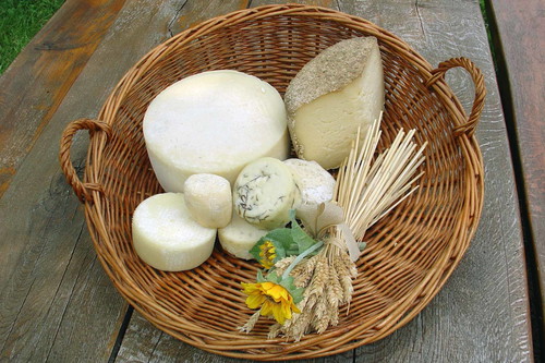 Dario Zidarič lässt seinen Jamar-Käse in einer tiefen Karsthöhle reifen.