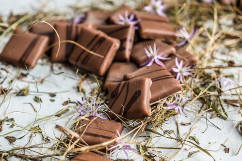 Caramel Plättli AlpenheuHeu von den Wiesen der Seewlialp auf 2023 Metern über Meer mit Caramel und «Rio Huimbi 42%»-Milchschokolade