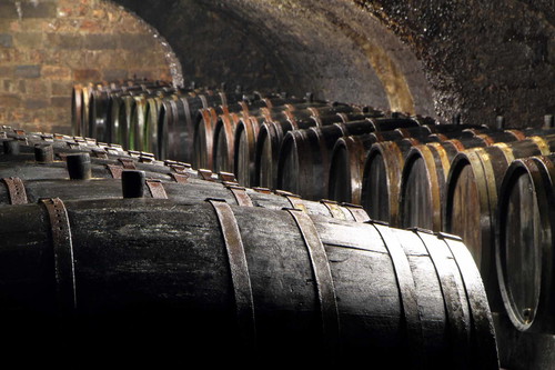 Eine zarte Patina aus dem Fuderfass ergänzt bei den Zilliken-Weinen die mineralisch getönte Rieslingfrucht.