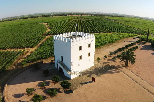 Esporão ist eines der innovativsten Häuser des Alentejo.