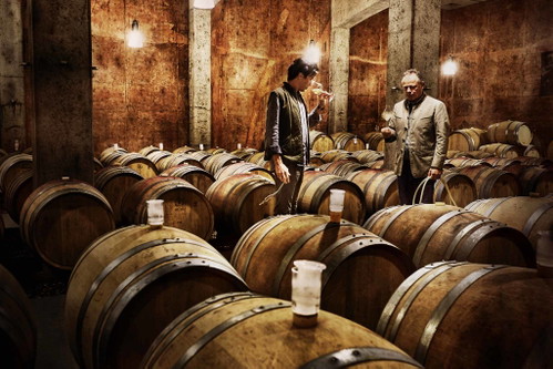 Sicherer Grenzgang zwischen Tradition und Moderne: Im Fasskeller reifen die Tementweine ihrer Perfektion entgegen.