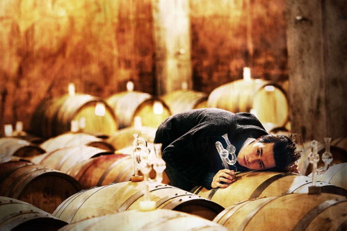 Am Weingut Tement wird der Wein begleitet, nicht gemacht. Darum muss man ihm manchmal auch gut zuhören.