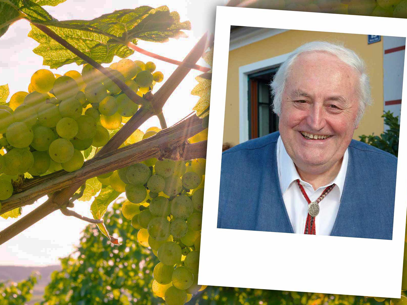Weinpfarrer Hans Denk