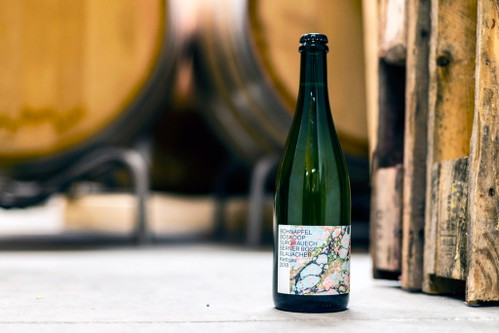 Cidre aus fünf verschiedenen Apfelsorten aus dem Klettgau