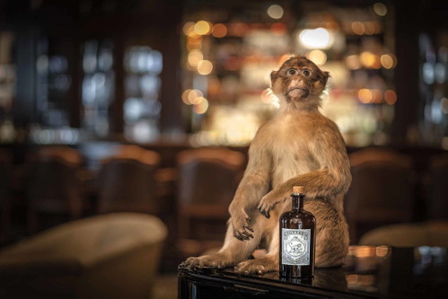 Affengeil! Vom Distiller’s Cut der Marke Monkey 47 werden jährlich nur 4000 Flaschen aufgelegt. Was die Flasche zum begehrten Sammlerstück macht.