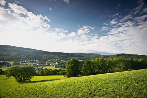Wiesen und Wälder sind hier nicht nur sprichwörtlich zu finden: Blick auf den Ort Saint-George im Parc Jura vaudois.