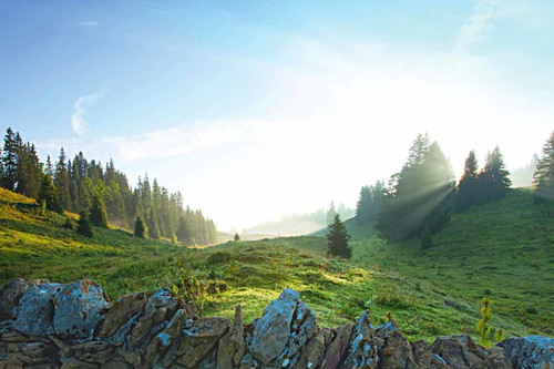 Trockenmauern, Fichtenwälder sowie ausgedehnte Hochjuraweiden prägen die Szenerie im Parc Jura vaudois.