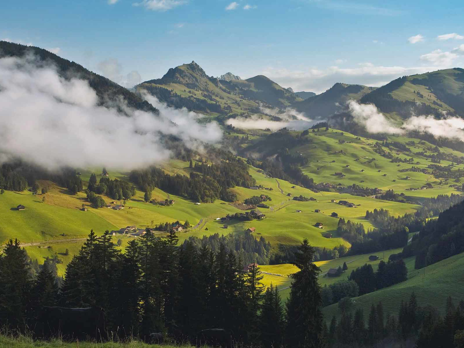 Malerische Kulisse: der Naturpark Gruyère Pays-d’Enhaut mit dem Berg Dent de Ruth im Hintergrund.
